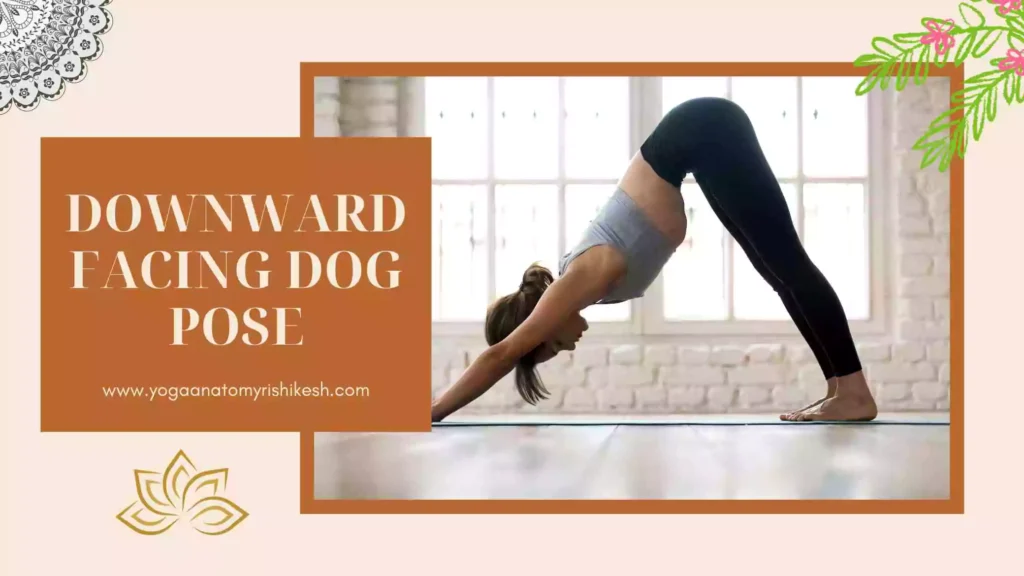 in this image women doing ADHO MUKHA SVANASANA Yoga pose which is also known as DOWNWARD FACING DOG POSE